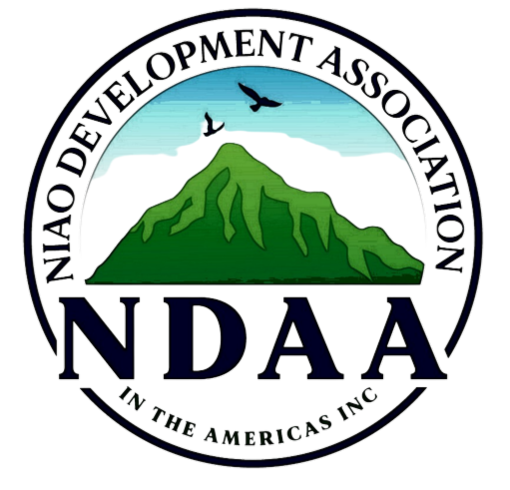 NDAA LOGO